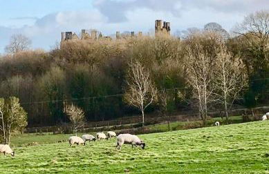 Carpenters Cottage Derbyshire, with romantic 4 poster bed - Foto 25
