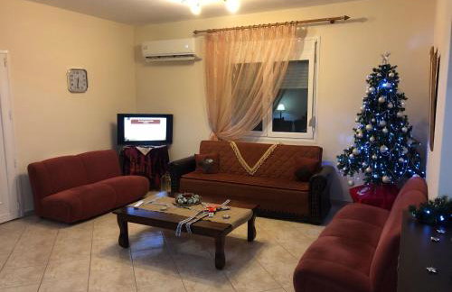 Ξενώνας Elanthi Kastoria - Foto 7