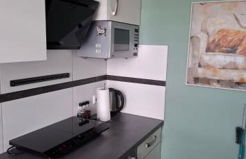 FERIEN-Geschäftswohnung - Foto 6