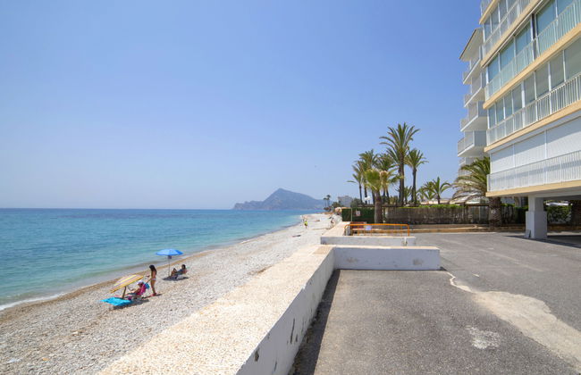 Santa Cruz - Foto 11