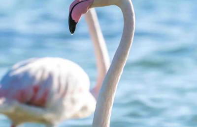 Eden Suite Paralia - Foto 45