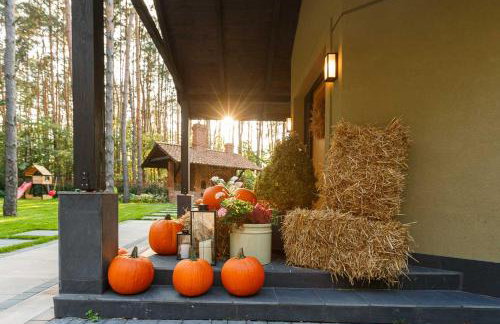 Villa Aleksandrow SPA - Foto 9