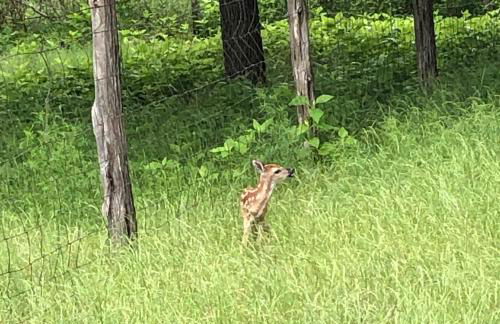 Perfect Country-Side Get-Away - Photo 40