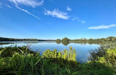 Kleine Landhaus-Perle am Schlosspark - Foto 36