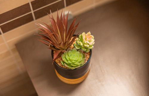 Dimora Valpolicella tra Ulivi e Vigneti - Foto 50