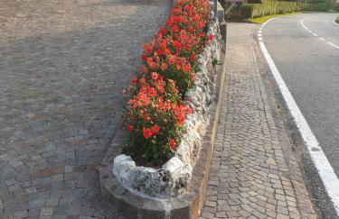 Maso Pinterato - Foto 7