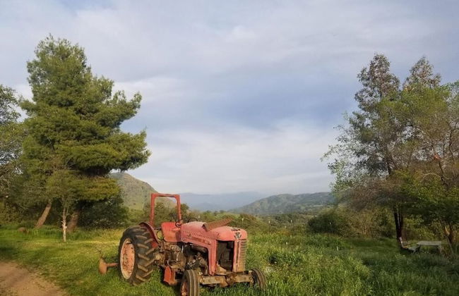 St Anna's House - Foto 53