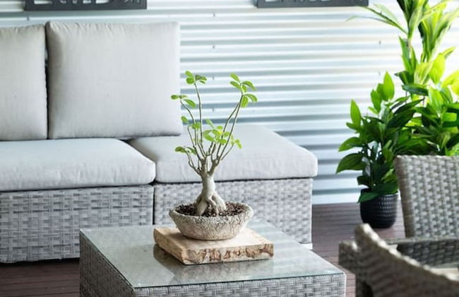 Rosewood Rustic Refuge Pool Outdoor Dining Backyard - Foto 21