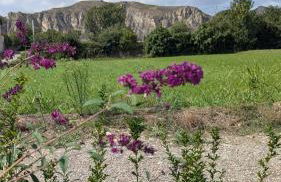 MASIA CLOTATS - Photo 26