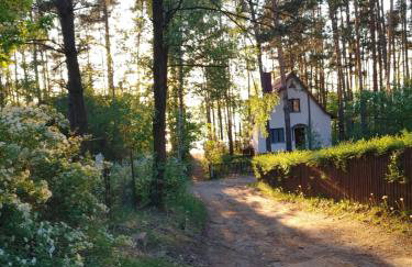 Domek w Borach Tucholskich - Wycinki - Foto 15