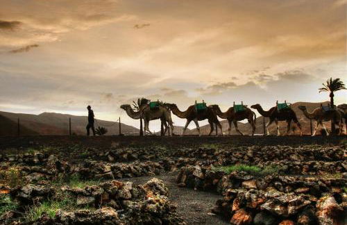 Home2Book Charming Apt Caleta de Caballo Beach - Foto 26