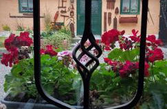 Propolis house - Foto 43