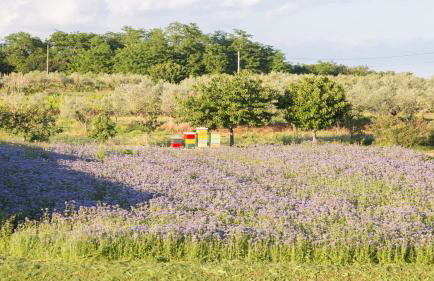 Villa Alcove with breathtaking Sea View and Private Pool - Foto 16