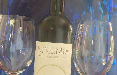 Ninemia Naxos Suites - Foto 57