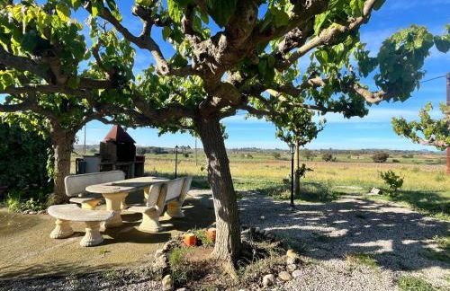 Cal Muntanyès - Foto 27