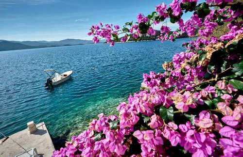 Repic Apartments - Photo 16