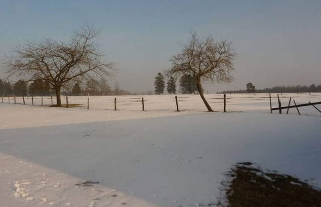 Cottage in Baugnez Near Hautes Fagnes Estate - Photo 27