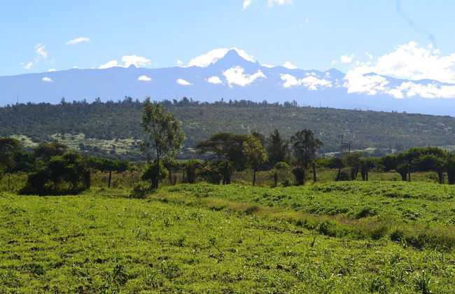 Burguret Kilele Guest House & Restaurant - Foto 15