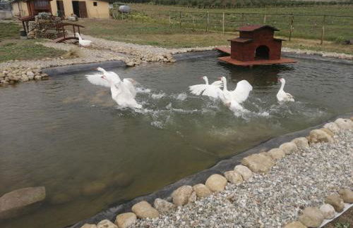 Agriturismo Fieri - Foto 25