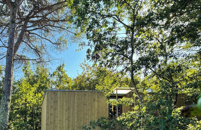 Enoturismo María Manuela - Photo 50