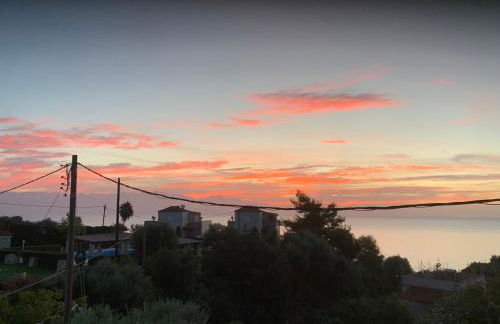 Villa Delfini - Foto 66