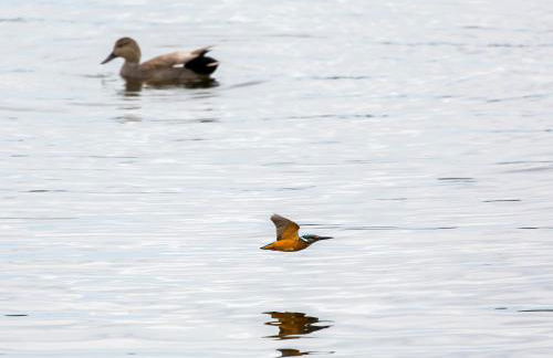 Ferienwohnung Maribell Jabel - Foto 22