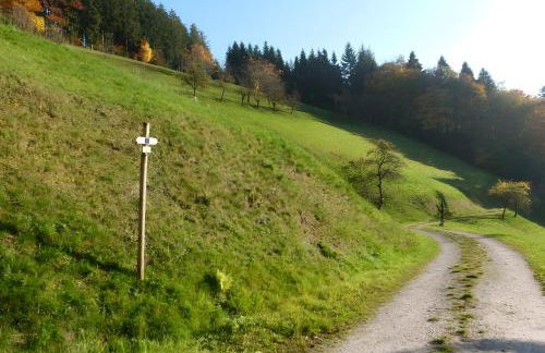 Holderstanzenhof - Foto 9