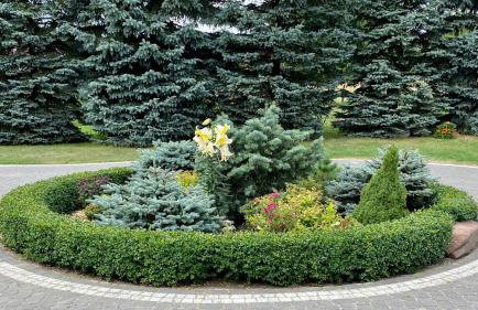 Agroturystyka Pod Jodłami - Foto 17