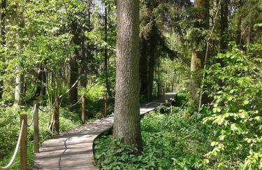 Cztery Pory Roku - Foto 60