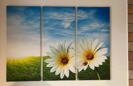 Poggio dell’Ortolano - Foto 71