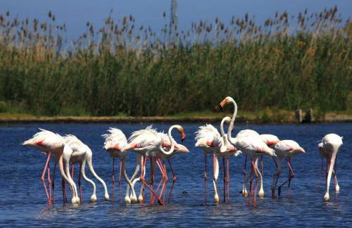 Apartamento Junto al Mar - Photo 25