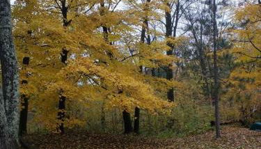 2 bedroom-Riverfront-Fireplace - Pet ok - Foto 5