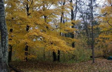 2 bedroom-Riverfront-Fireplace - Pet ok - Foto 5