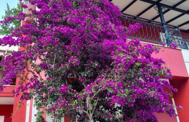 Red Villa - Photo 17