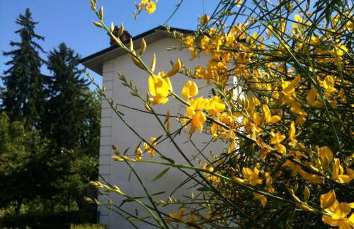 Molino Antico B&B - Foto 21