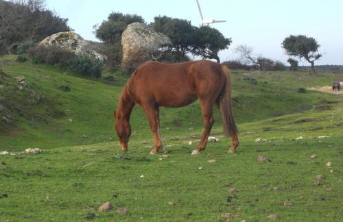 Casa Mariuccia - Foto 58