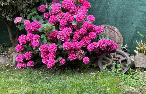 Casa Rural Garzibaita - Foto 33