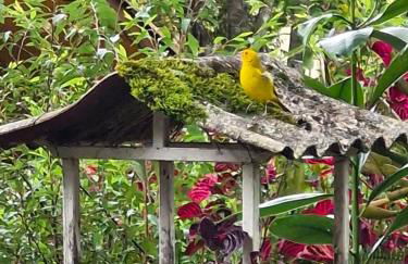 Chalés Alcantilado - Morada Sol e Lua - Photo 6