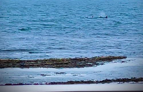 4 Sinclair bay lodges - Foto 13