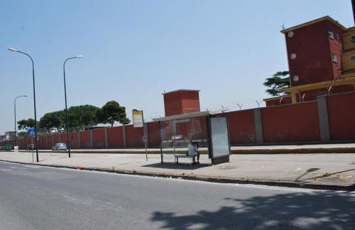 Alpivida Home - Foto 25