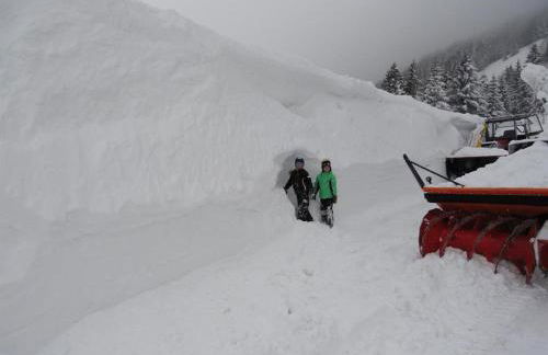 Ferienhof Almfrieden - Photo 7