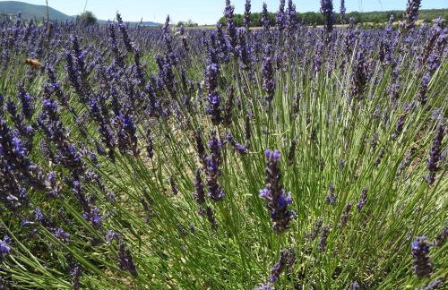 La belle histoire Gîte Montmirail - Foto 39