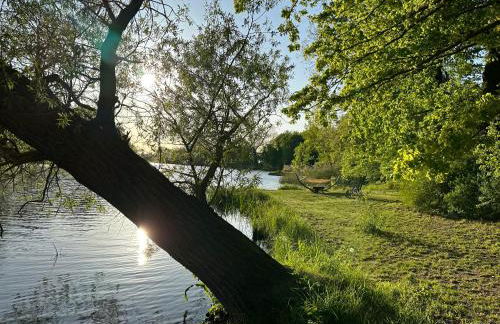 Villa Schuwardt auf Nordend - Foto 20