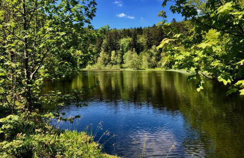 Le Giromagite au pied du Ballon d'Alsace - Foto 24