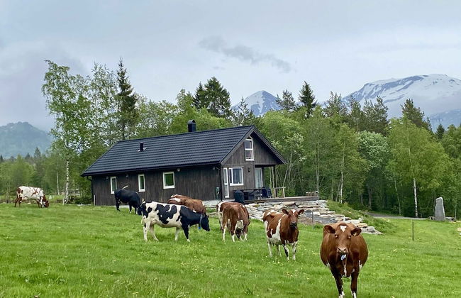 Heinåli Hytta - Foto 25