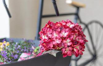 Che Loft! Artes y Ciencias - Photo 18