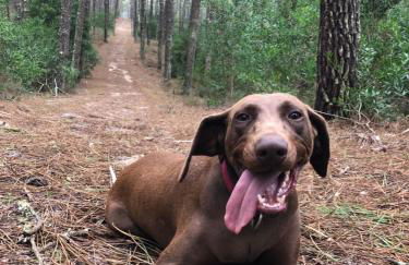 BeachLiving Cortegaça - Foto 57