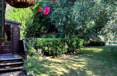 Wigeon Secluded Rustic cabin - Foto 1