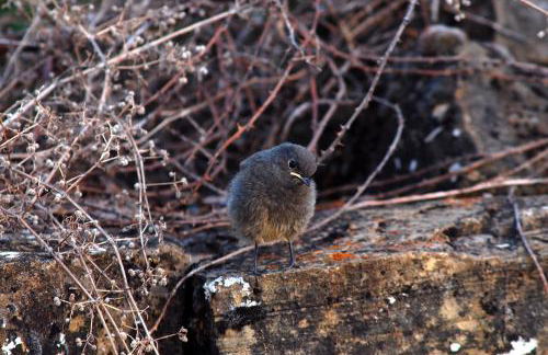 Casa Rural Estarrún - Photo 26