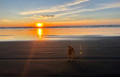 The Surf Shack - Foto 9